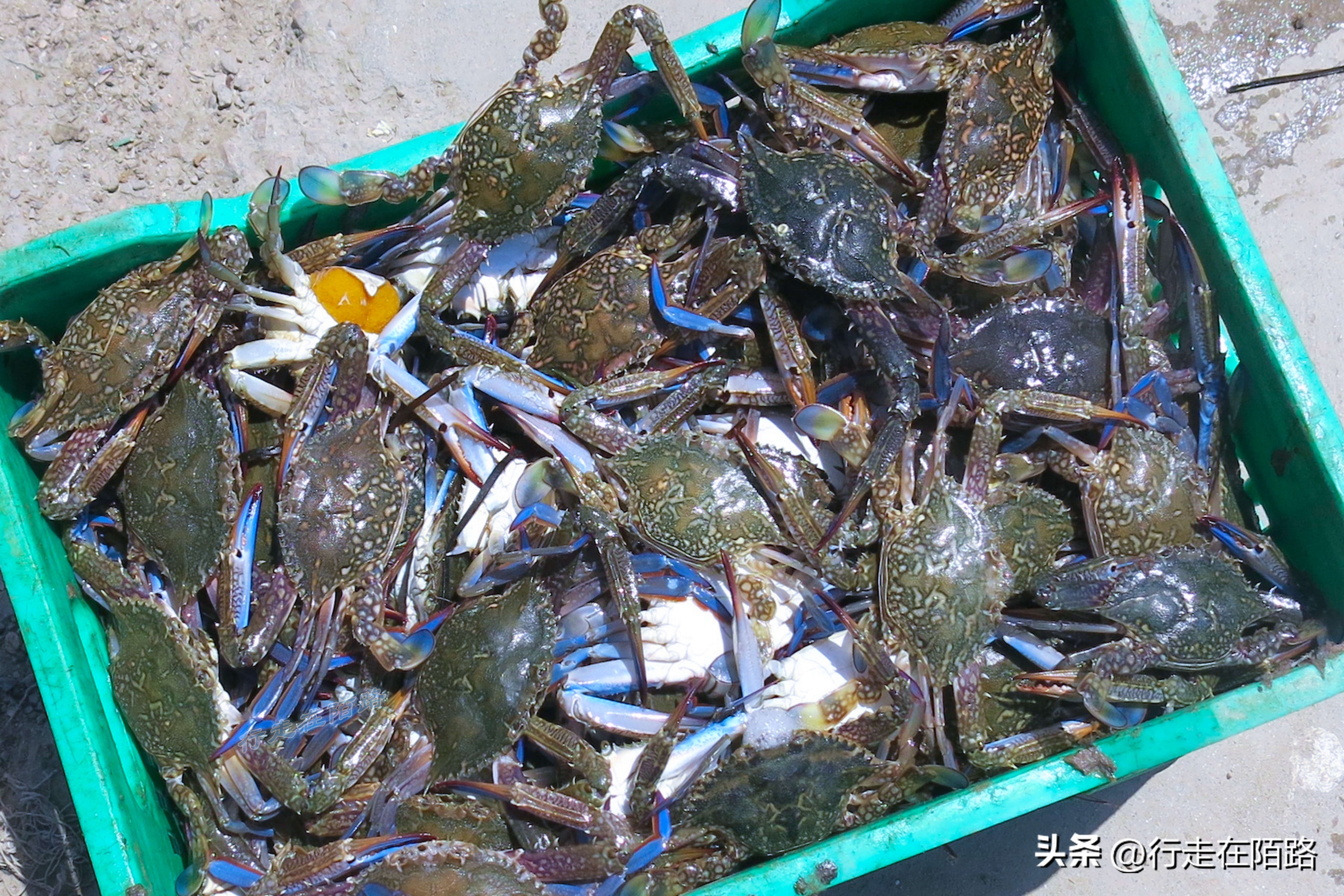 非洲突尼斯：不太一样的穆斯林国家，面积小人口少物价低