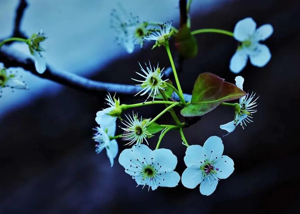 抖得厉害称筛筛神！湖北方言神用法：扭扭神，摆摆神，吼吼神