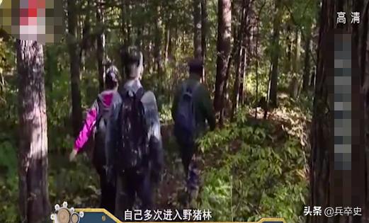 野猪林诡异事件,野猪林神秘事件