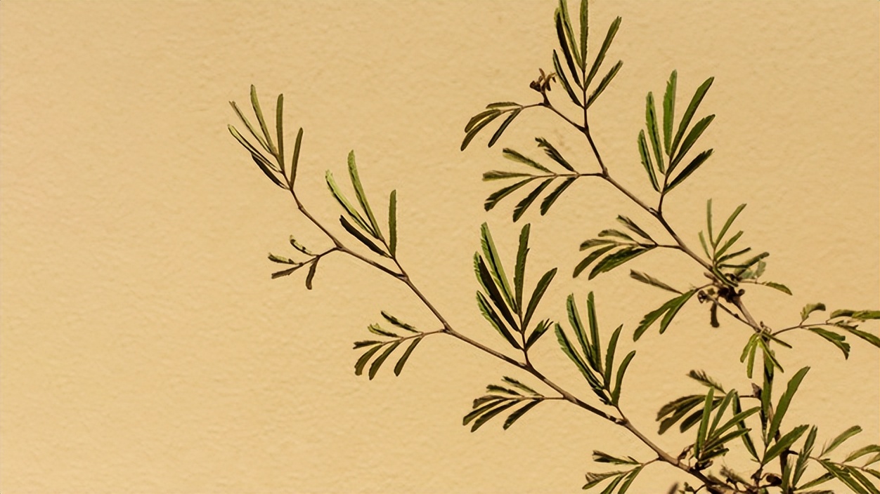 遇小人该怎么处理,遇小人怎么破局