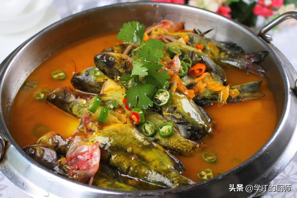 大棚养殖黄辣丁养殖技术视频,大棚黄辣丁养殖一亩利润