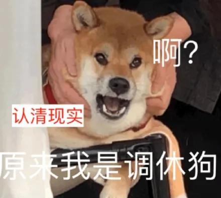 五一表情包｜坐等放假