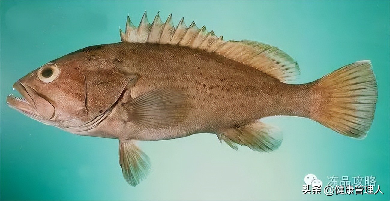 美容护肤食疗方案,美容护肤养生介绍