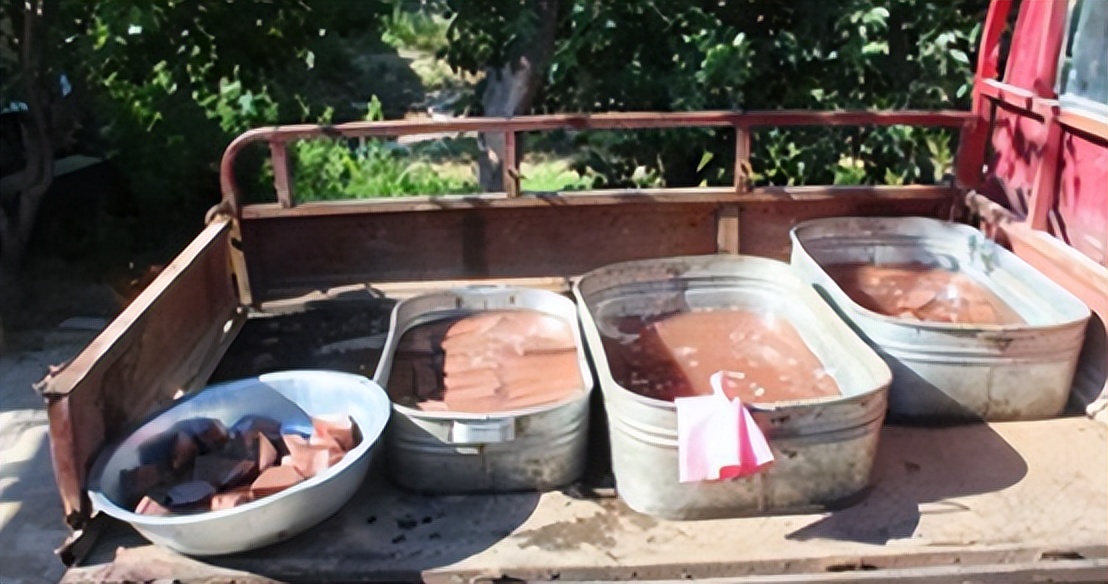 准新娘猝死之谜全集,准新娘猝死之谜完整版