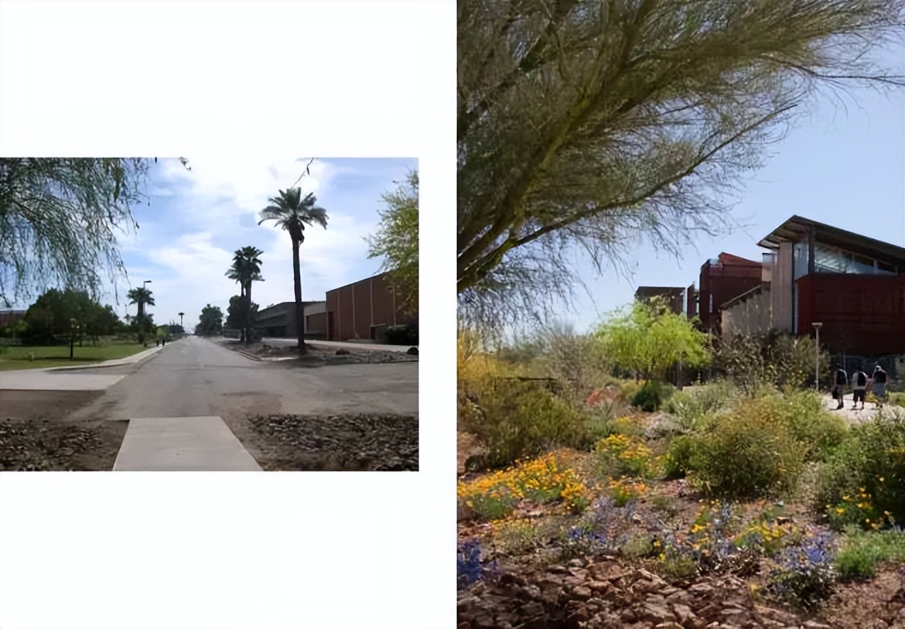 大学校园绿化设计,现代校园绿化规划设计