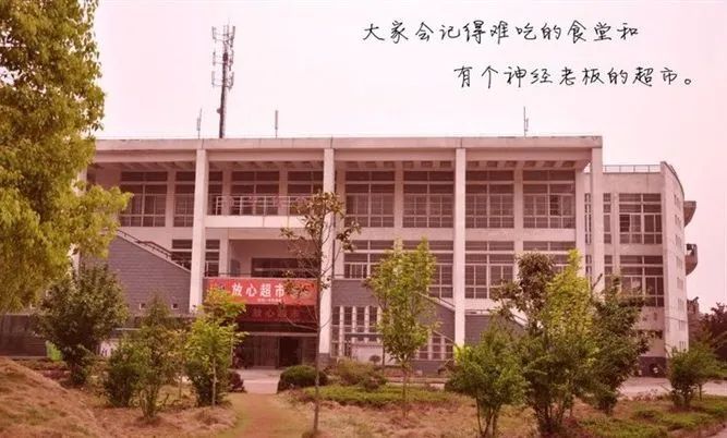 黄陂市新洲一中怎么样,武汉新洲一中与黄陂一中哪家强