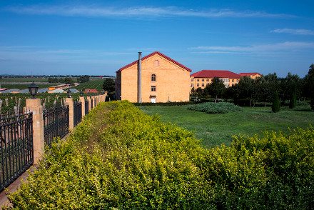 工业旅游，施华洛世奇摆脱疫情和网购冲击的绝招