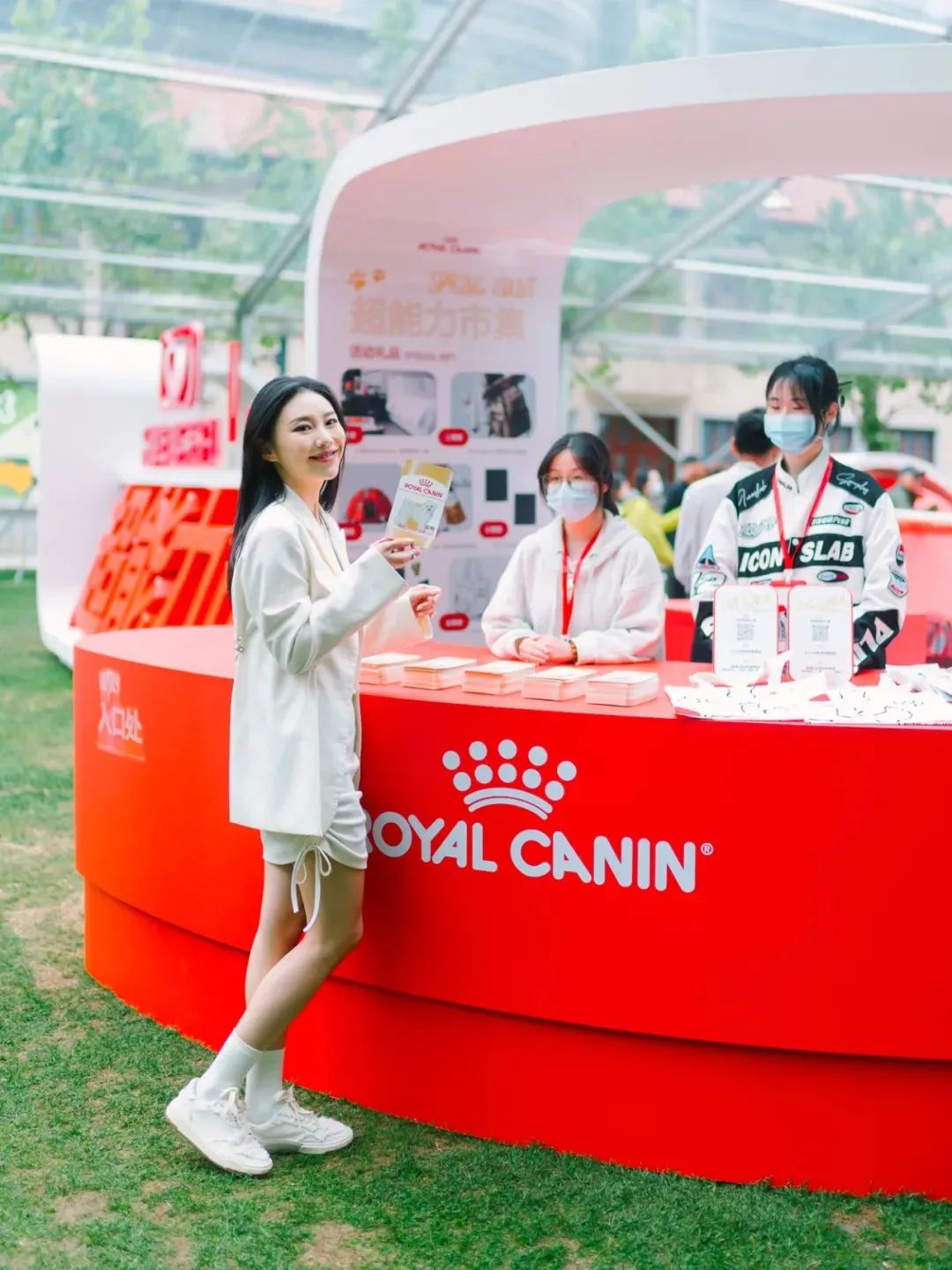 市区100平米宠物游乐园,宠物游乐场室内