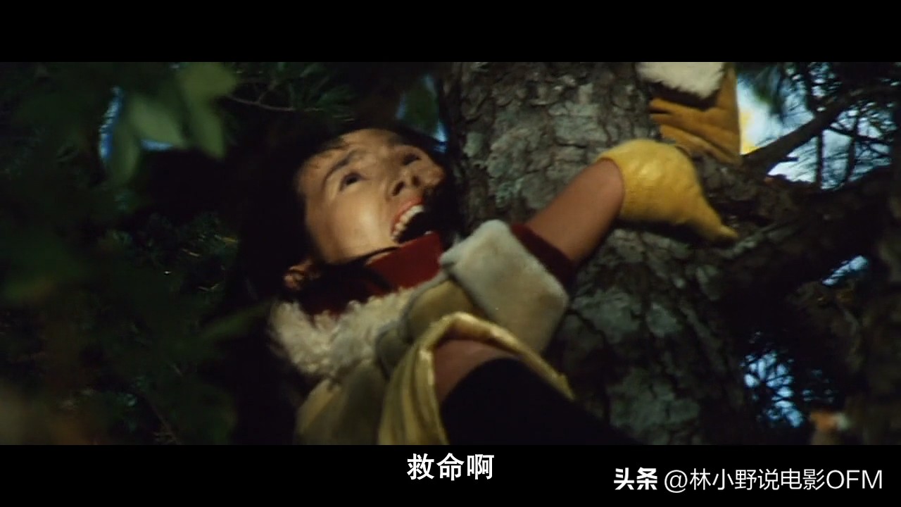 从三船敏郎那里借来的“真由美”，《追捕》幕后的20个冷知识