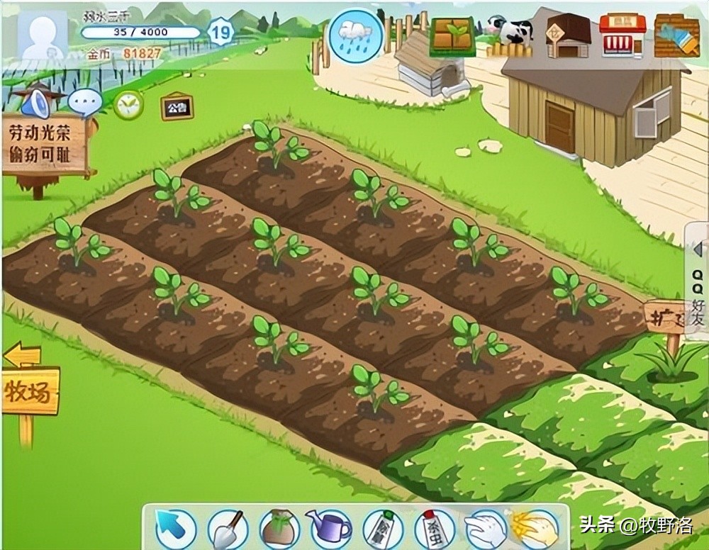 qq农场偷菜是哪一年开始的,以前偷菜的qq农场在哪里