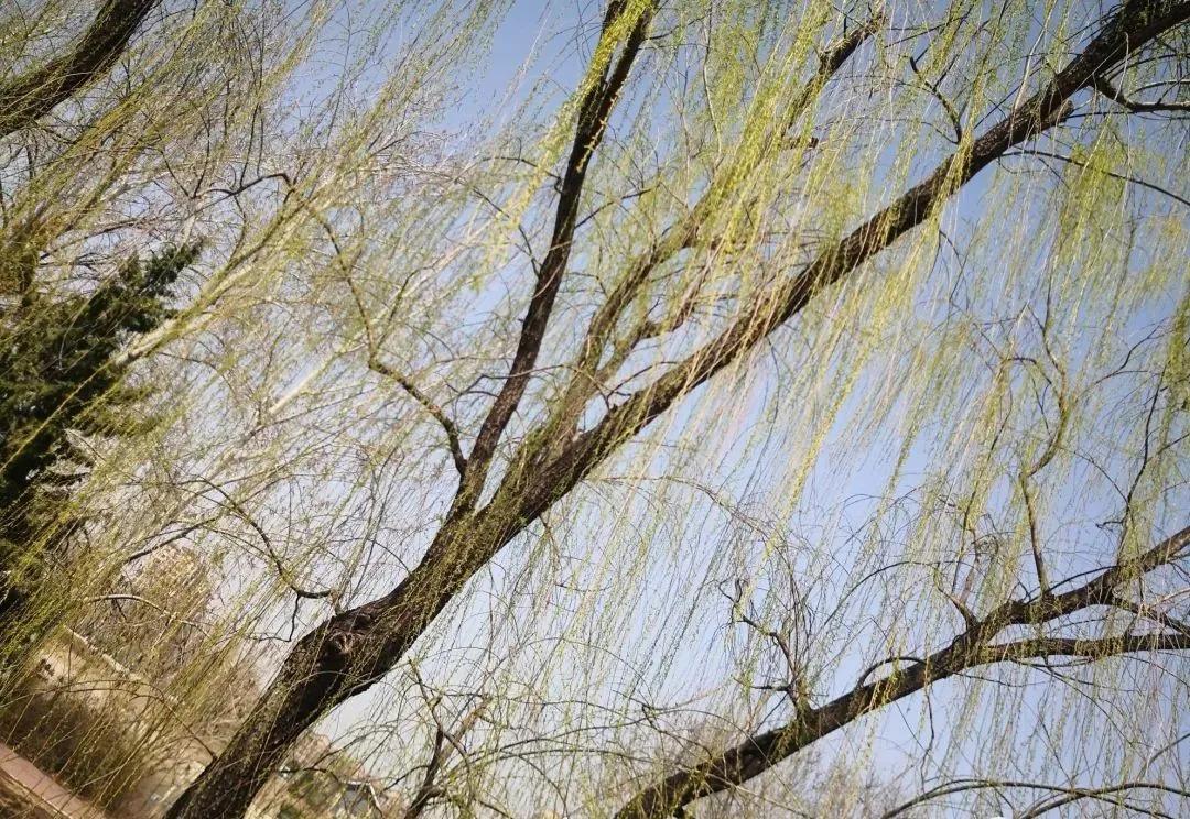 浣犳兂瑕佷慨鏀瑰摢绉嶇被鍨嬬殑鏂囩珷,浣犵殑鏂囩珷