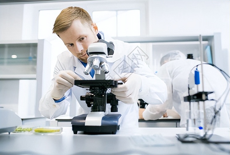 振动光谱,振动光谱的组成方法