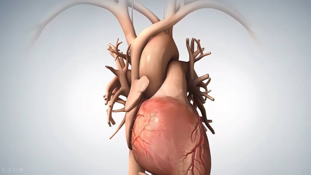 干货科普心房颤动的药物治疗,房颤治疗学术讲座