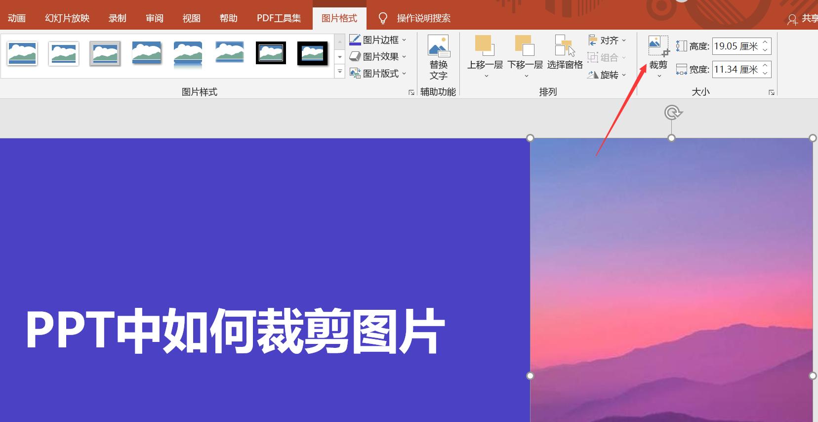 Ppt图片裁剪三种技巧,ppt怎么把多张照片裁剪成统一尺寸