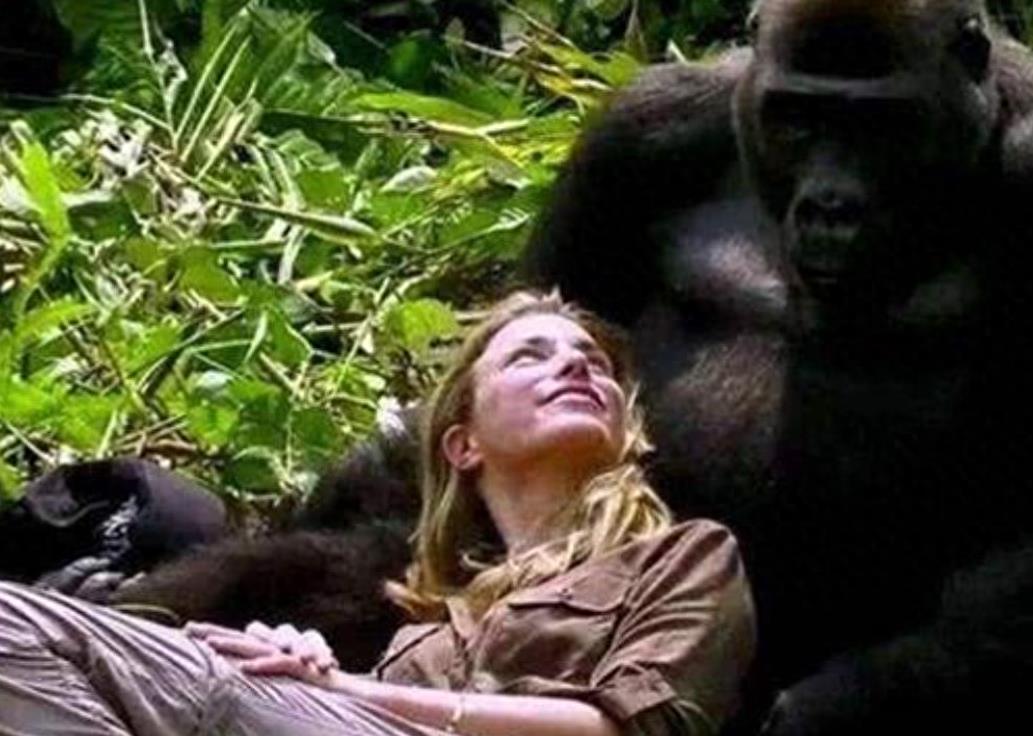 人类人种之间为什么没有生殖隔离,人类为什么还没有产生生殖隔离