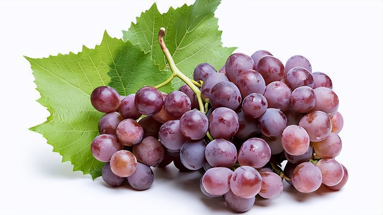 蜂蜜能解酒六大妙招助你解酒,生活小妙招蜂蜜水解酒