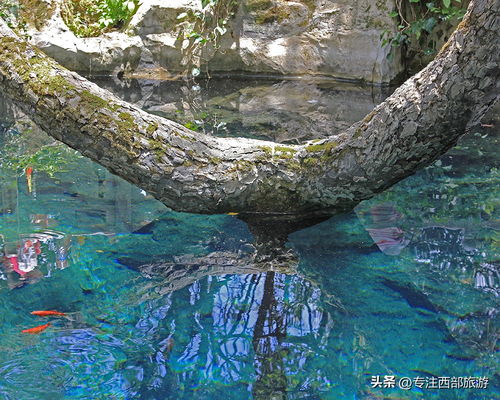成都泸沽湖邛海旅游攻略,四川泸沽湖万亩草海秋景