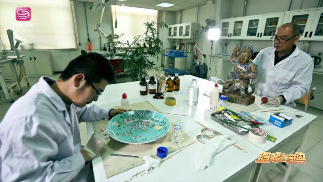 能给病人看病的是什么医生,专门给动物看病