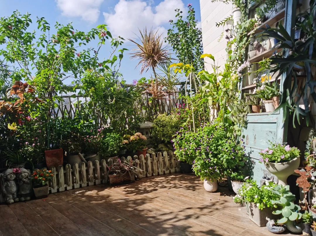 很多人羡慕的阳台,让别人羡慕的阳台