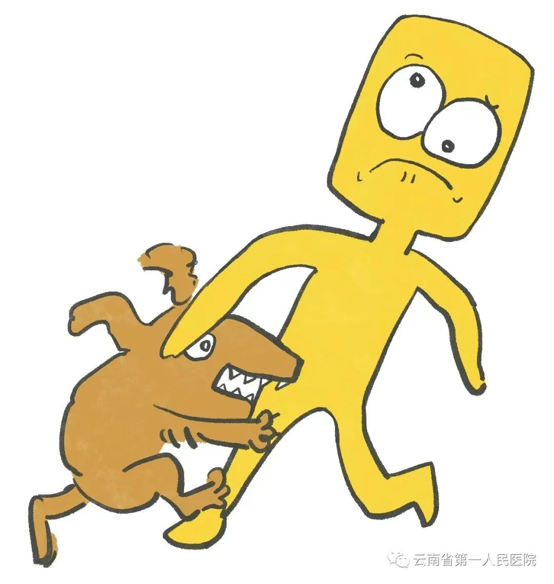 打狂犬病疫苗四个月又被猫抓伤,松鼠抓伤需要打狂犬病疫苗吗