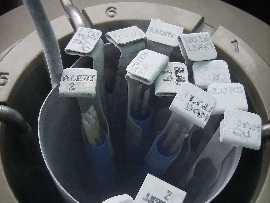 摩拉水牛卖价,摩拉水牛为什么这么便宜