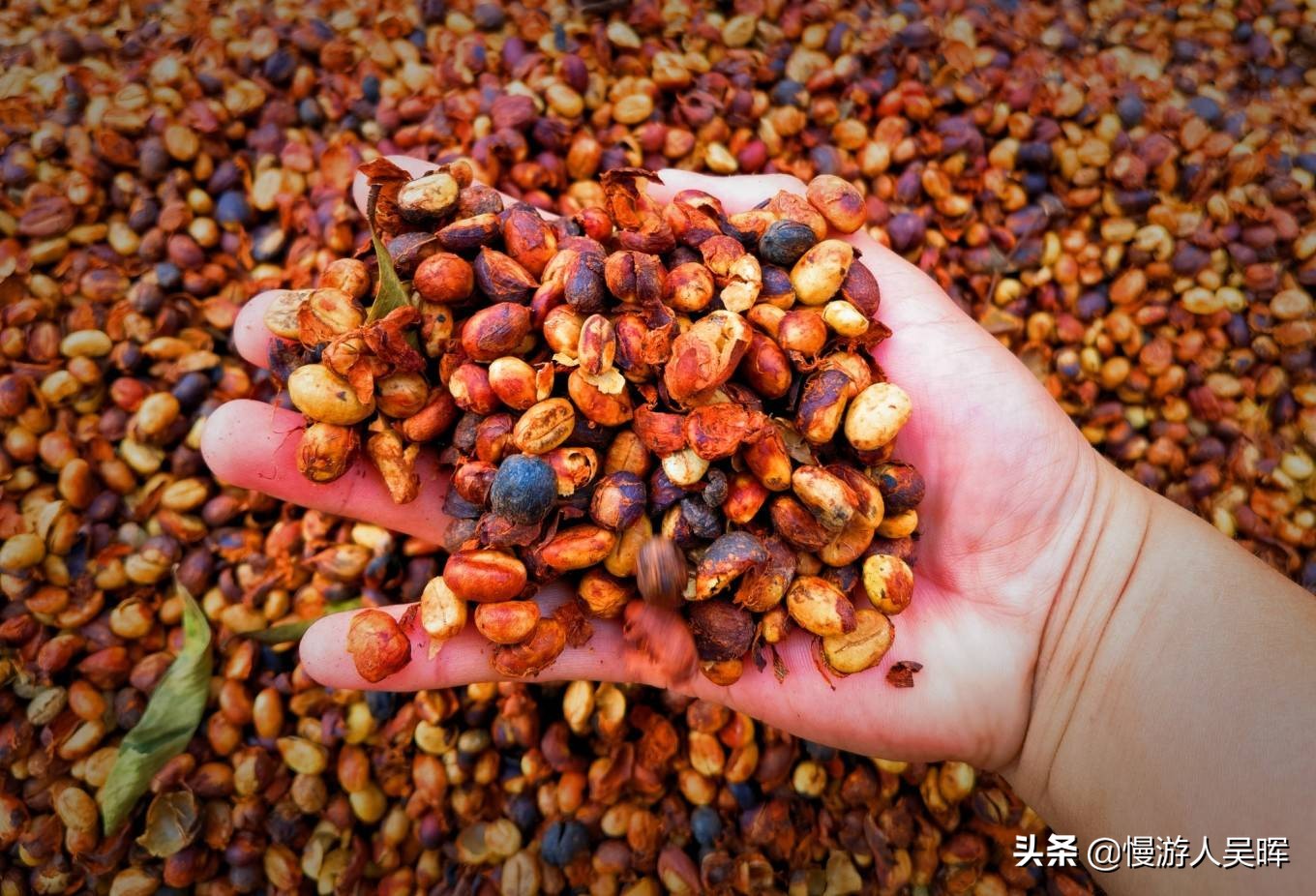 海南环岛游攻略详细行程,海南东线环岛游攻略自由行