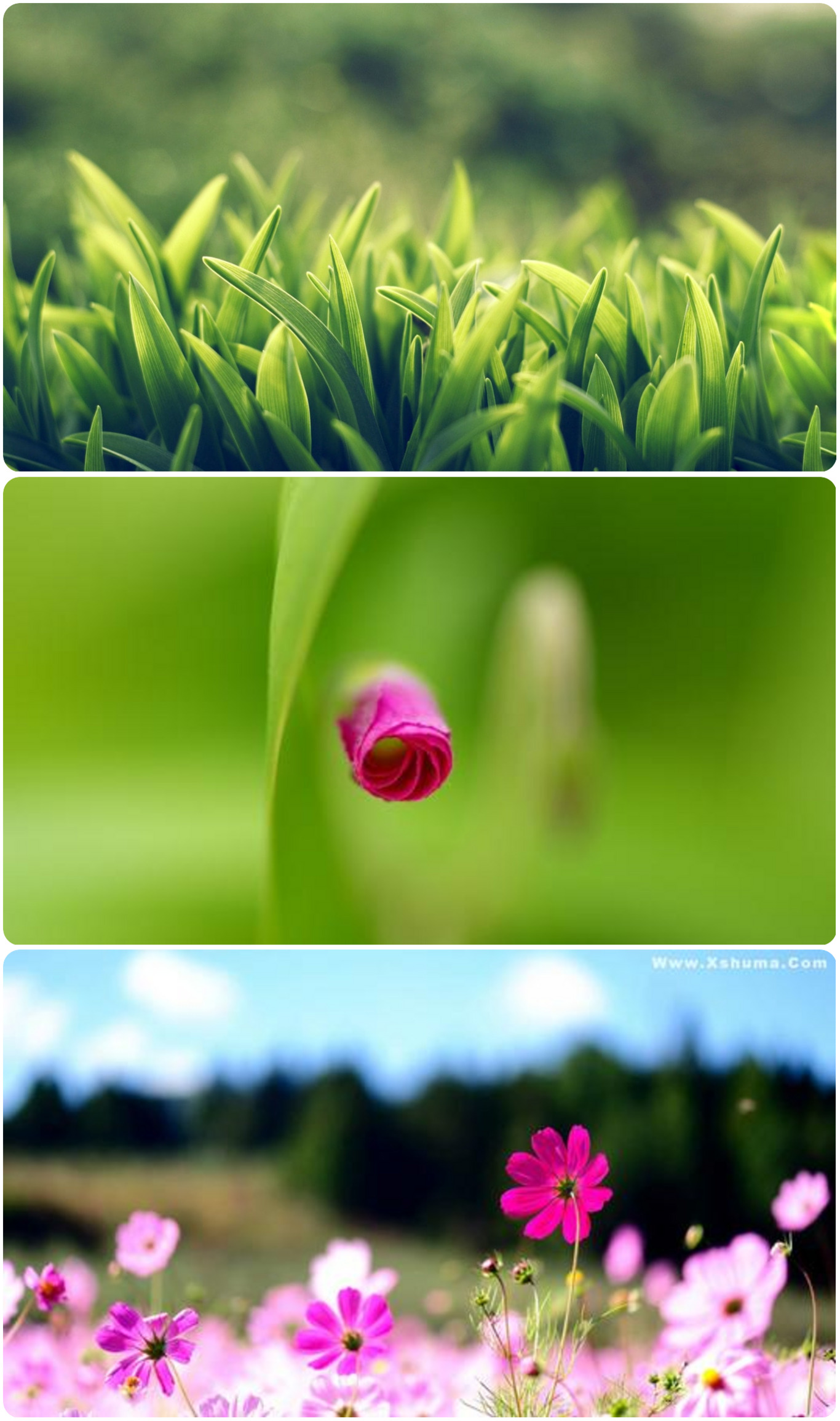 照片怎么拼接成长图,图片怎么无缝拼接成长图