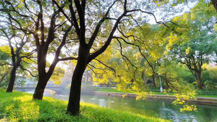 最值得入住的国宾馆推荐,最值得体验的国宾馆