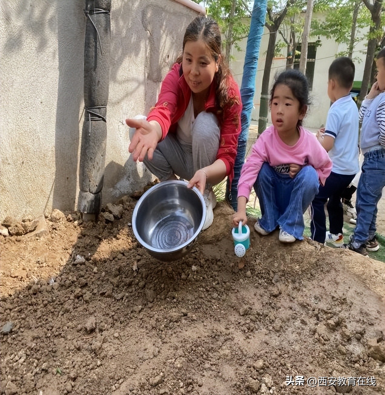 小种植大收获——新合四幼种植活动