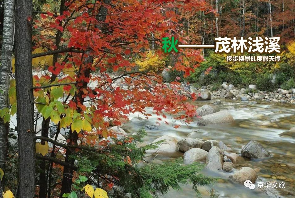 发展乡村旅游的十大规划,乡村振兴的规划案例分享