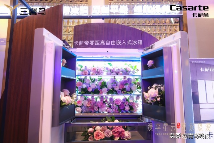 智能家居全新迭代，极智“星云”领航2024三翼鸟|卡萨帝生态联盟大会暨卡萨帝星云套系上市发布会成功举办