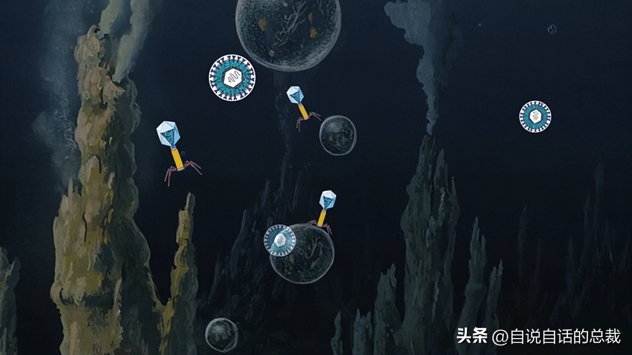 潜入深海寻找宝藏,潜入海底最深处你会发现什么