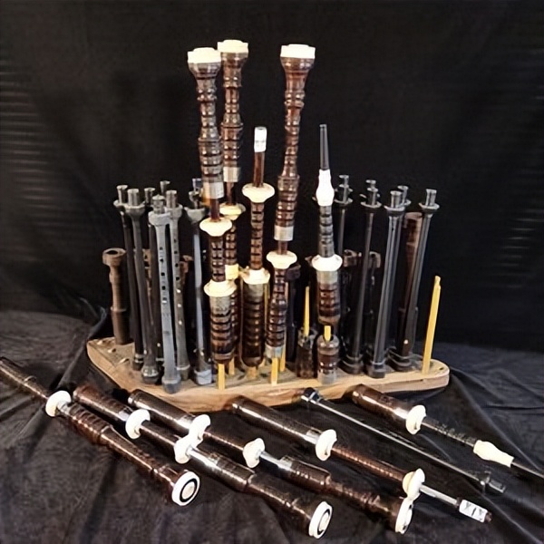 爱尔兰典型的传统乐器是竖琴,爱尔兰古代乐器