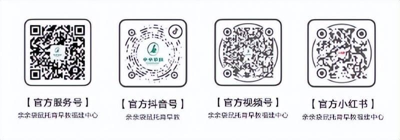 来亲亲袋鼠,过一个与“粽”不同的端午节吧