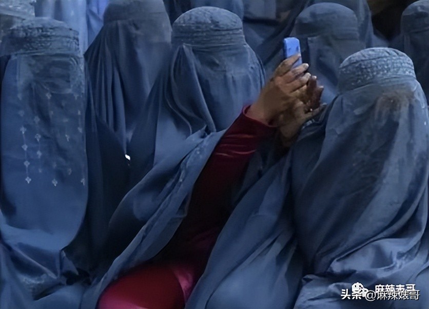 金晨模仿卡塔尔小王子自拍,金晨模仿卡塔尔王子自拍引热议