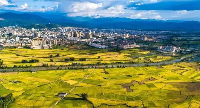 边地散记(十二):美丽德宏