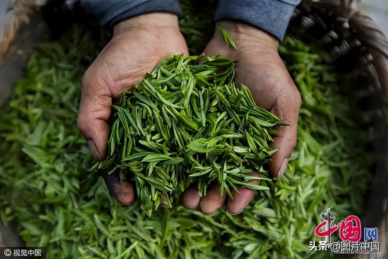 谷雨:春夏之交雨生百谷