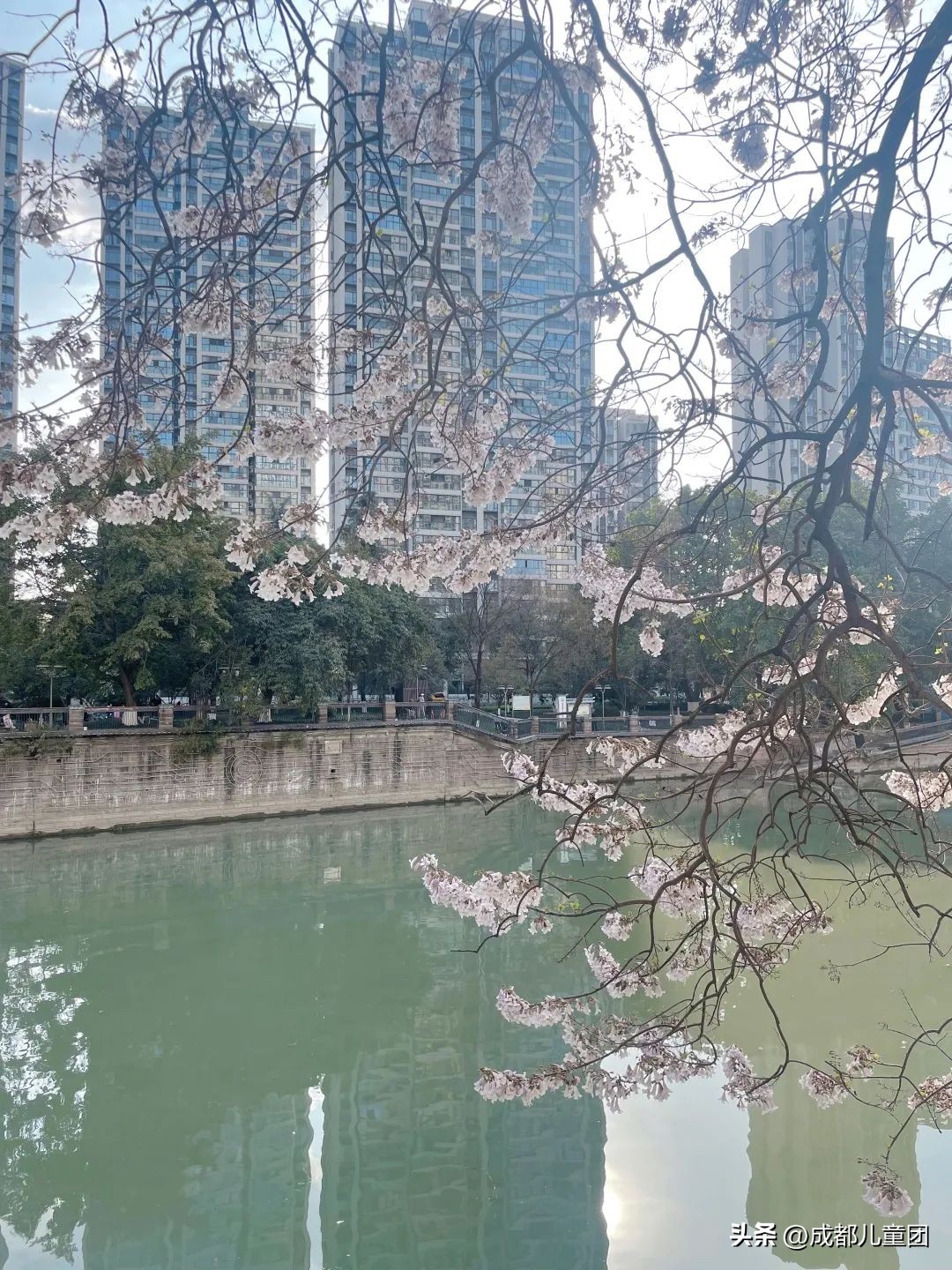 地铁3号线能到的美景地方,一号线地铁直达的风景