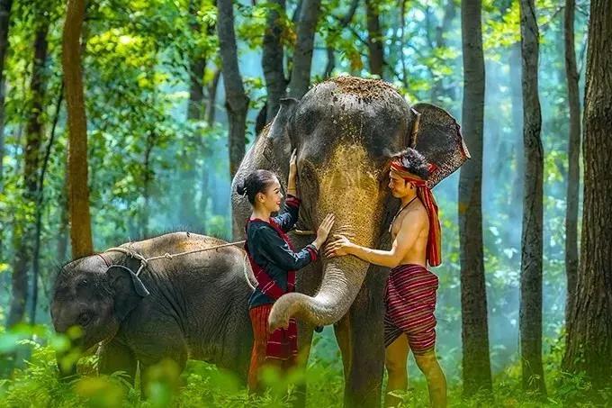 云南西双版纳旅游攻略app,云南西双版纳旅游攻略自由行12月