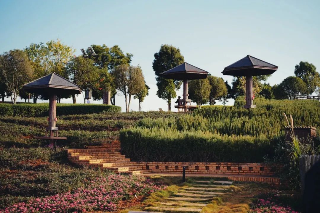 南方小众避寒好去处,今冬避寒好去处推荐