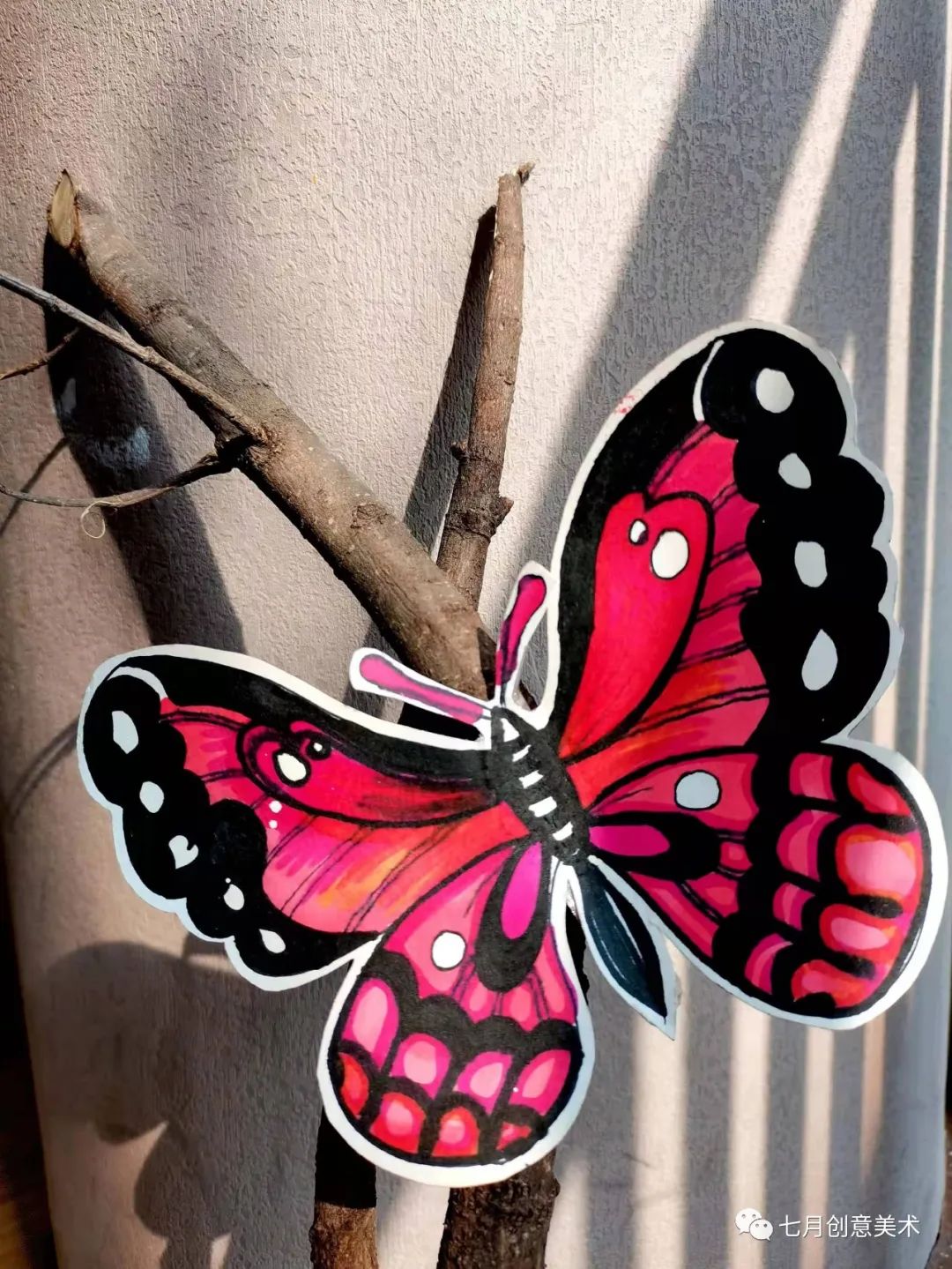 蝴蝶标本图片大全,塑封蝴蝶标本方法