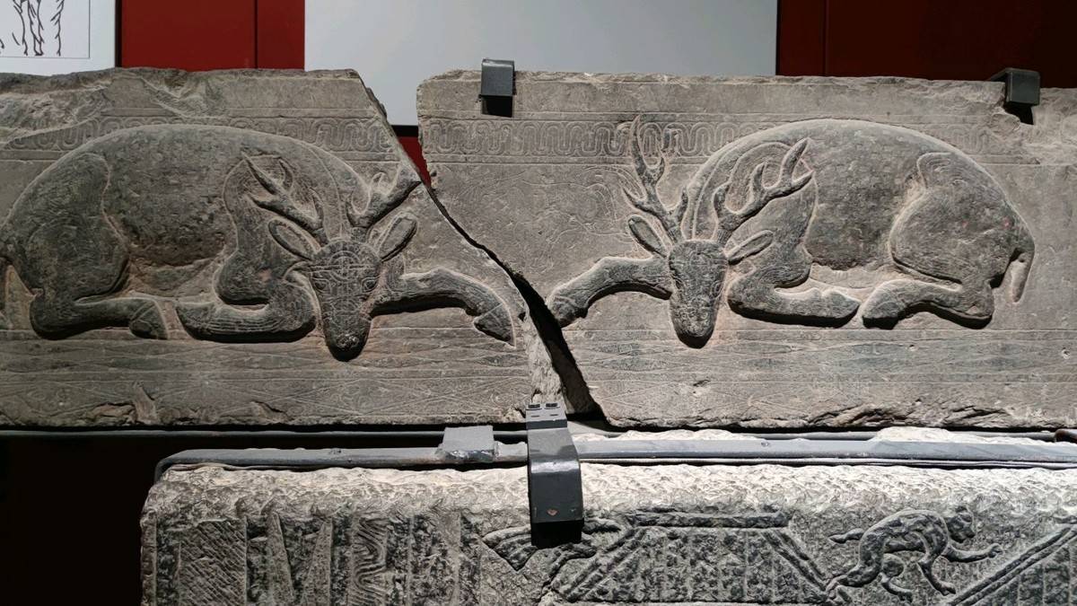 进淄赶烤一路飘香,进淄赶烤风雨无阻