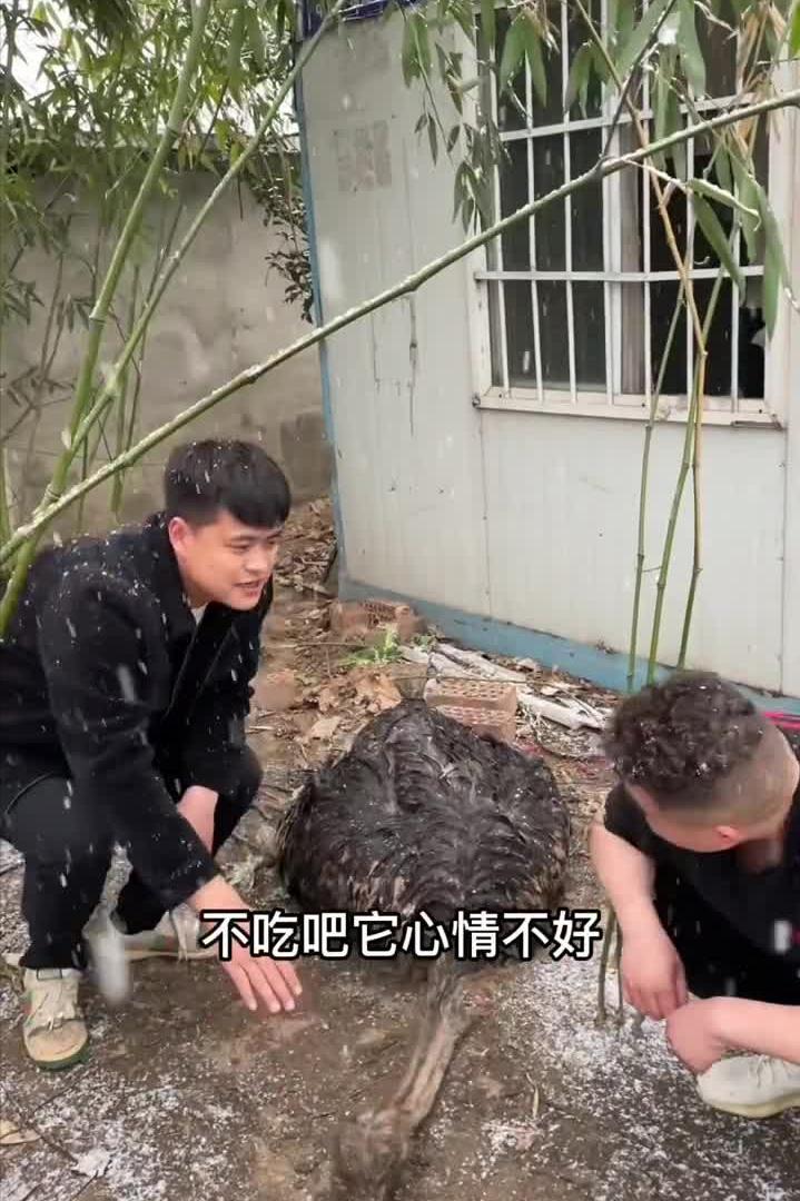 郑州李先生抖音美食,郑州李先生吃海鲜大咖