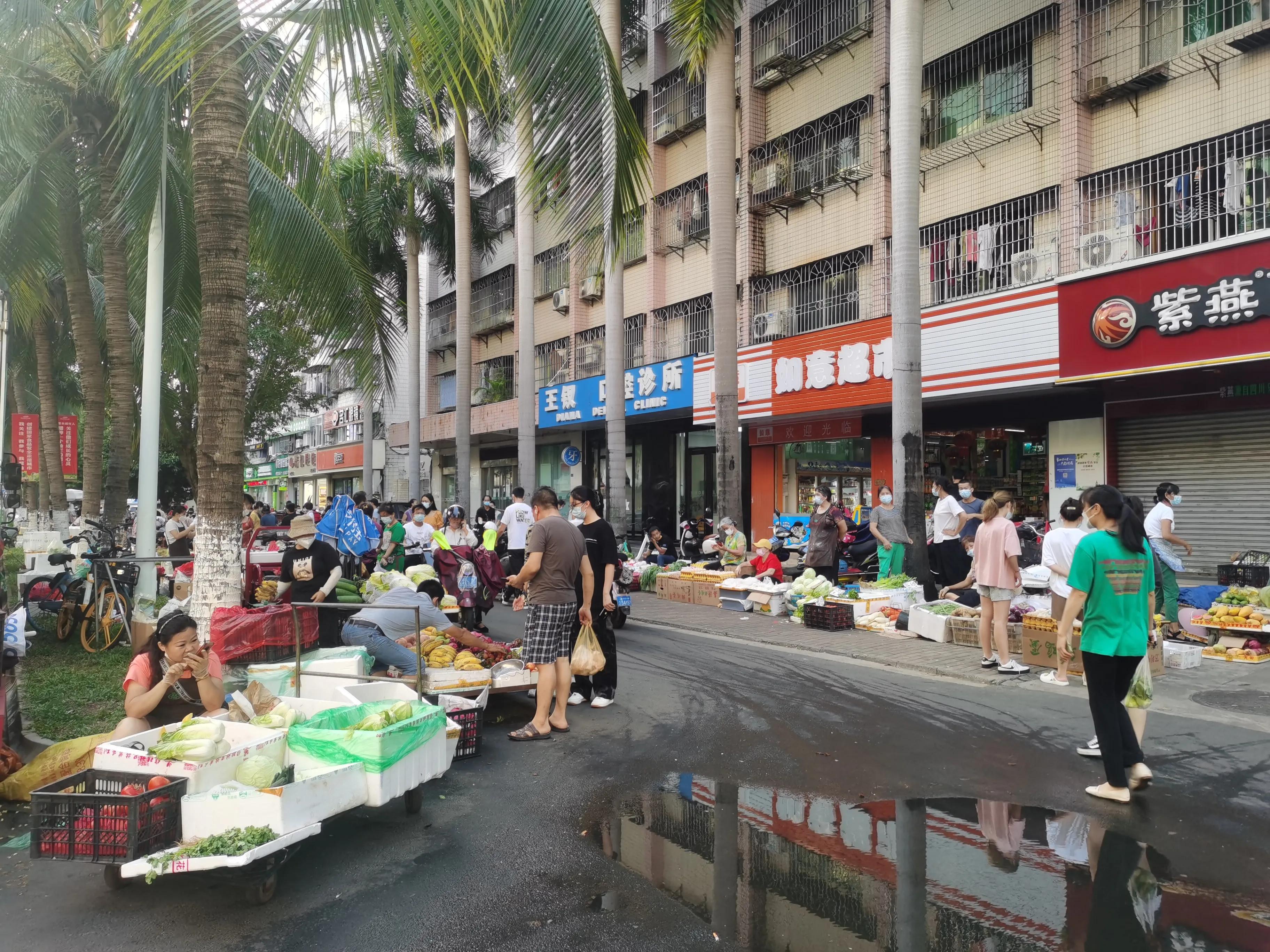 疫情下的大连湾渔港,海甸岛最新疫情报告