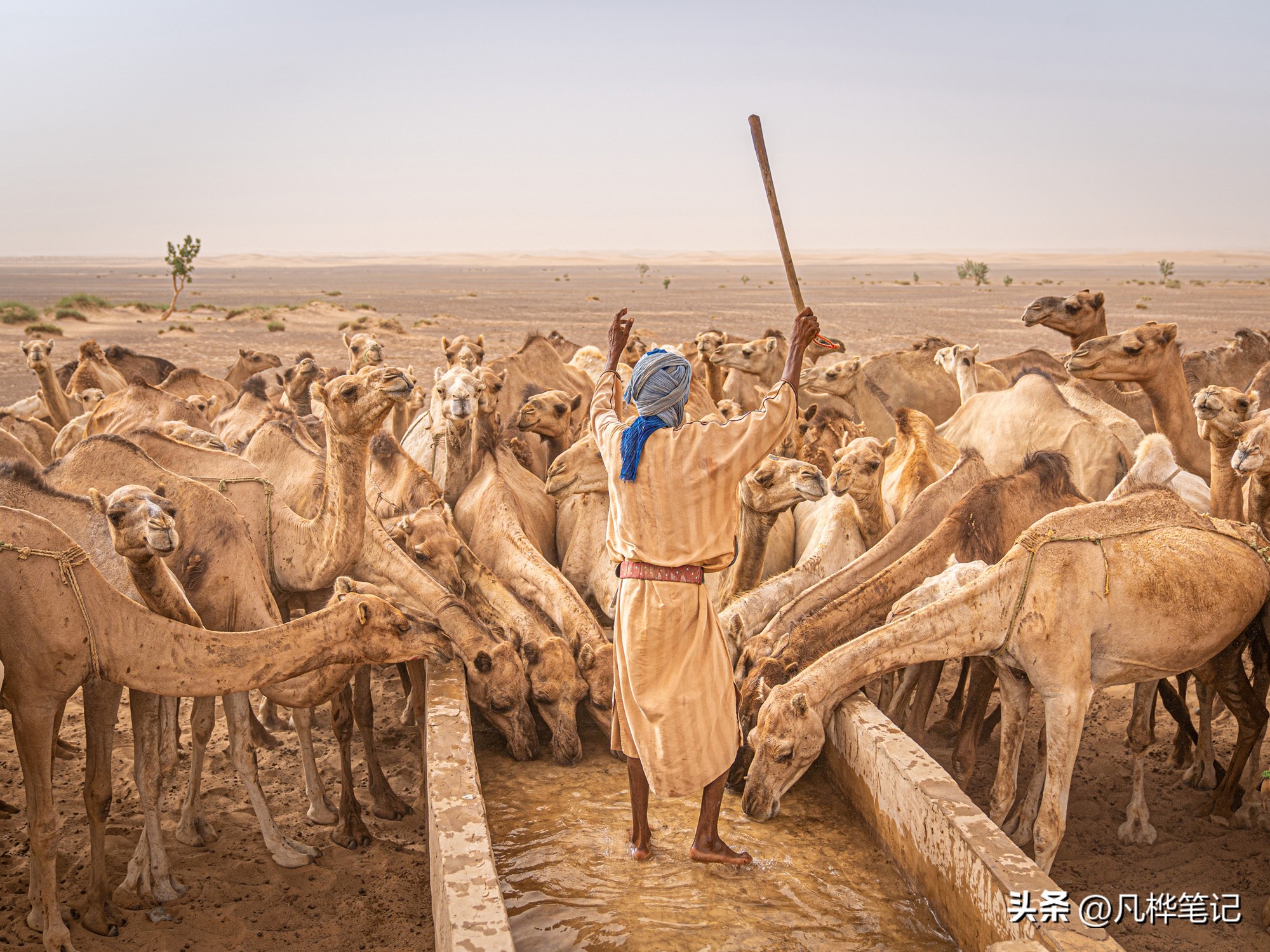 旅游摄影大赛征集,风景摄影大赛名称