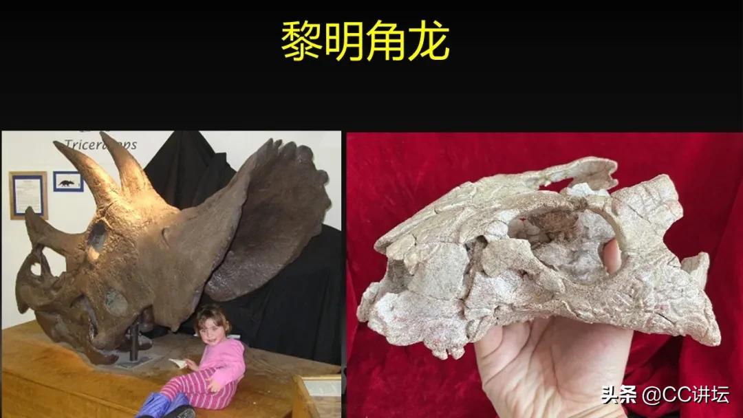 海洋恐龙和陆地恐龙,海洋恐龙与陆地生物对比