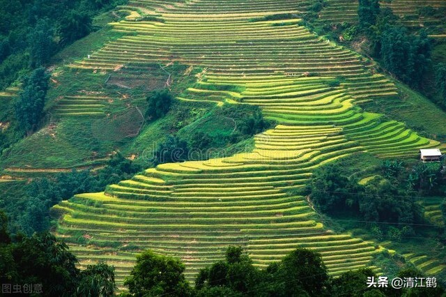种子发芽生长过程中,如何谨防烧苞,4个步骤很重要