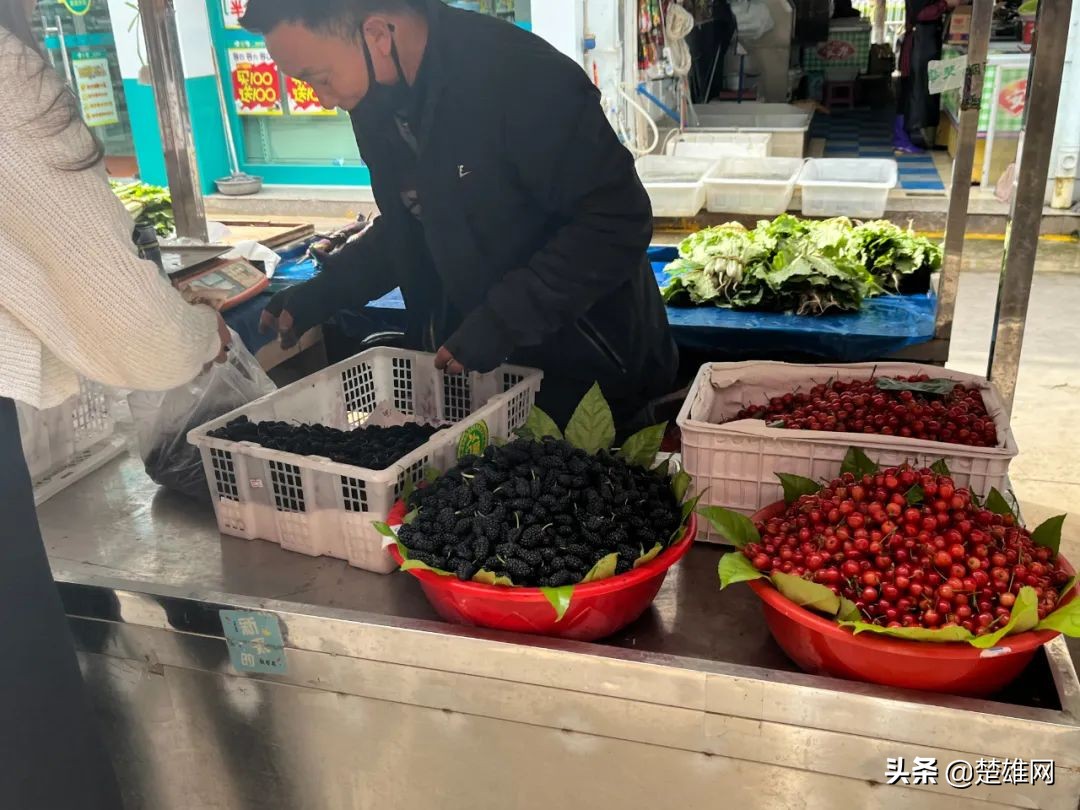 楚雄樱桃批发,楚雄樱桃多少钱一斤