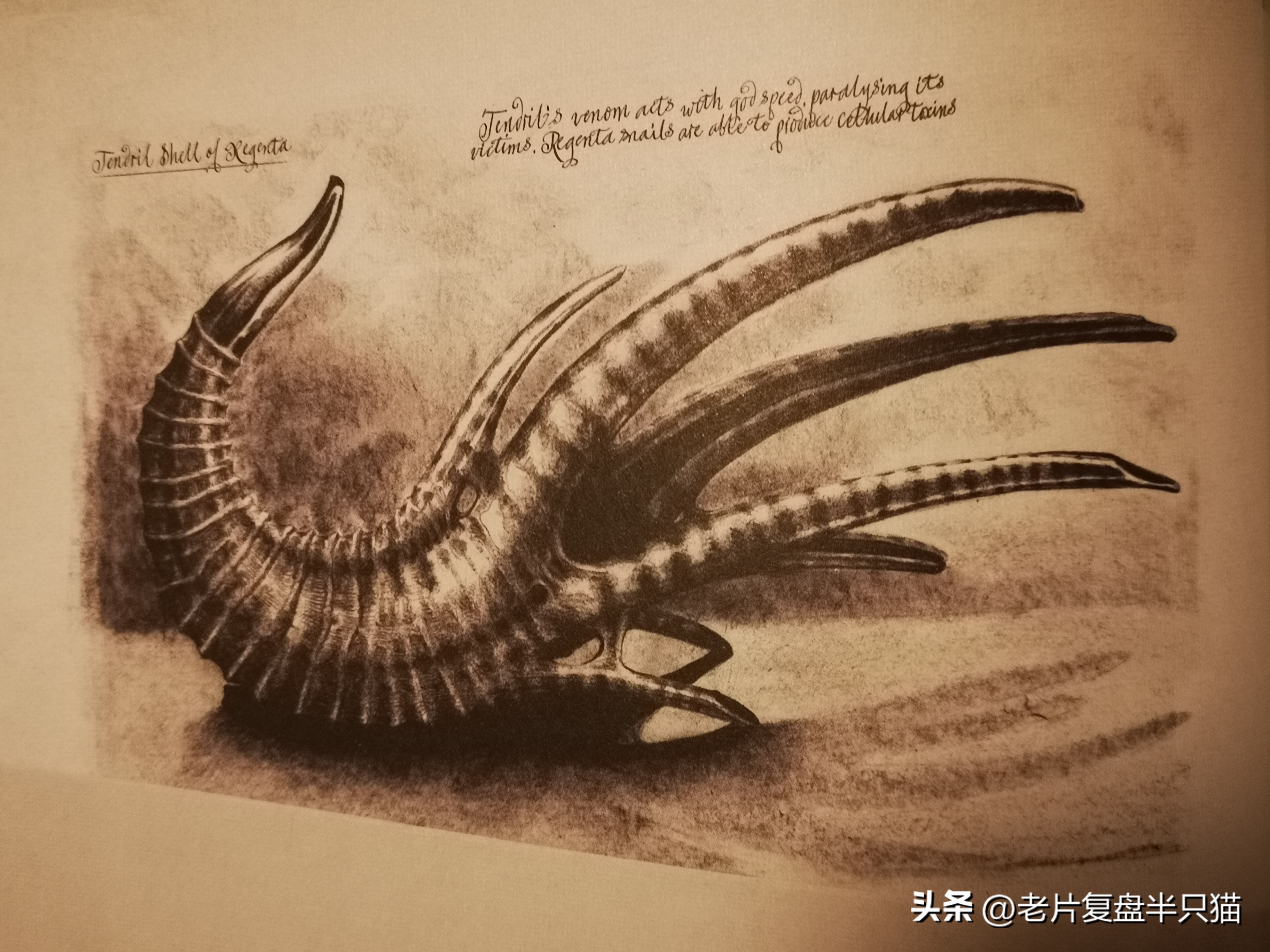 仿生人大卫的秘密,仿生机器人大卫