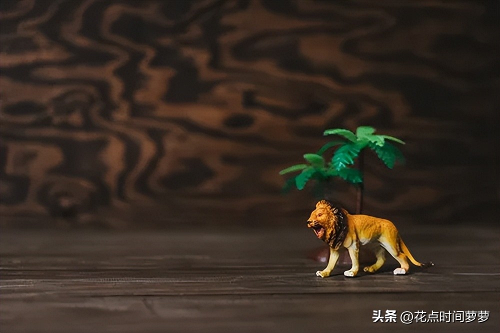 坚持正确存钱法，做永久储蓄者